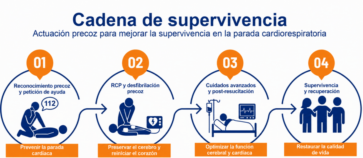 Cadena de supervivencia: las 4 fases para mejorar la supervivencia en la parada cardiorrespiratoria